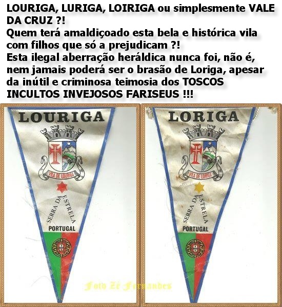 História do Brasão de Loriga PDF