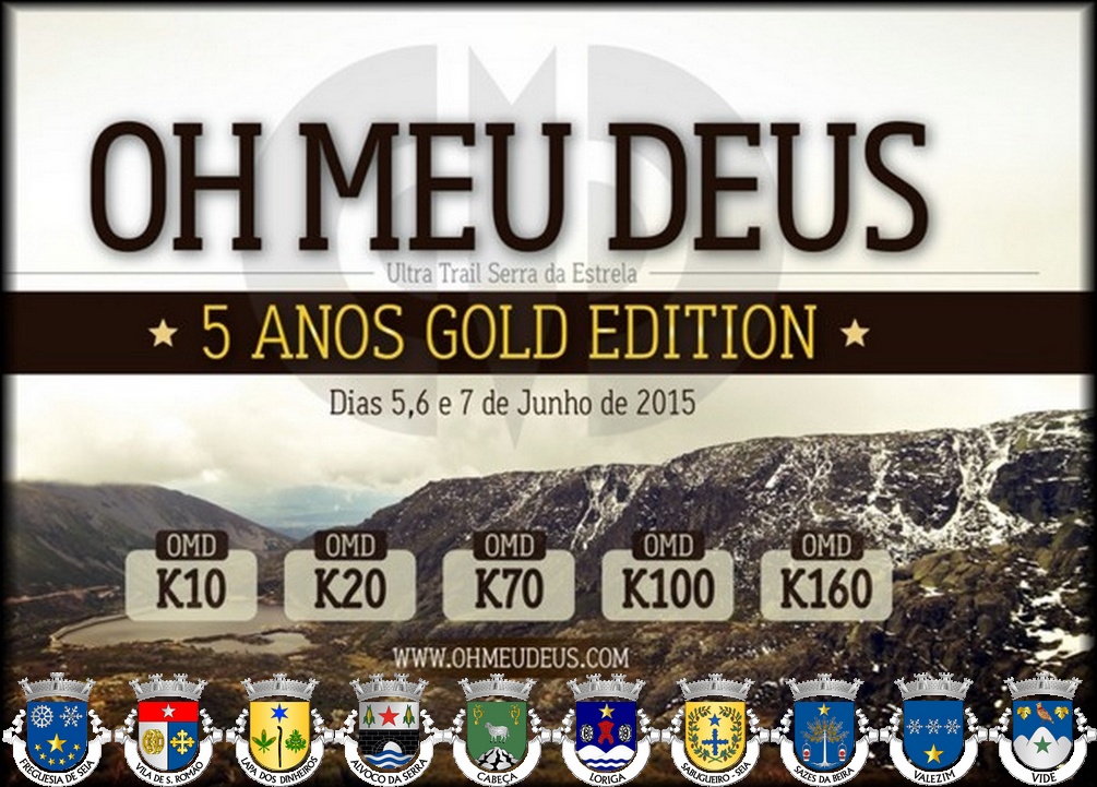 História do Brasão de Loriga PDF