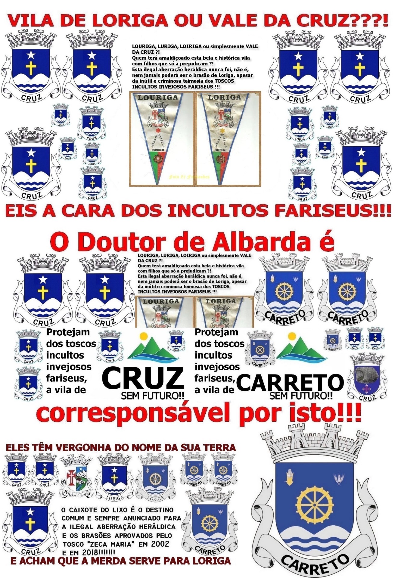 História do Brasão de Loriga PDF